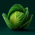 Crunchy Green Cabbage Salad First Image